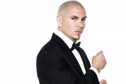 pitbull